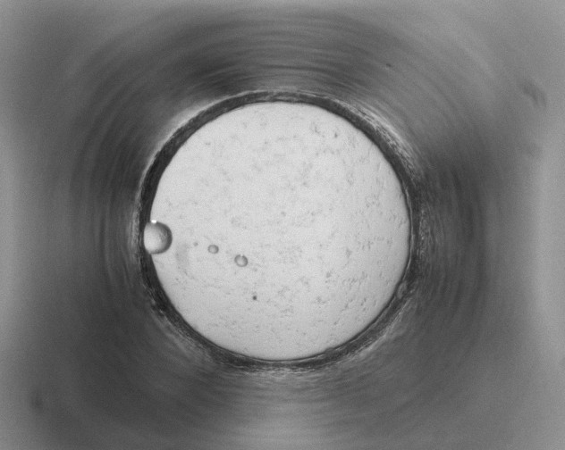 X0000116660880201001041108