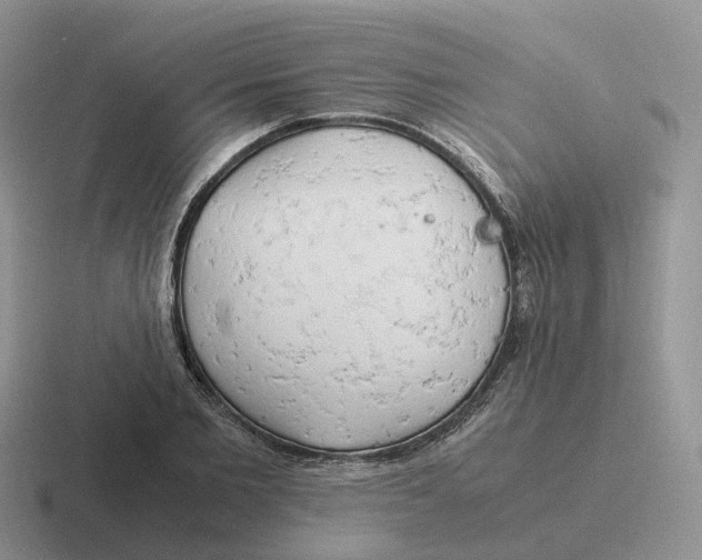 X0000116660885201001041108