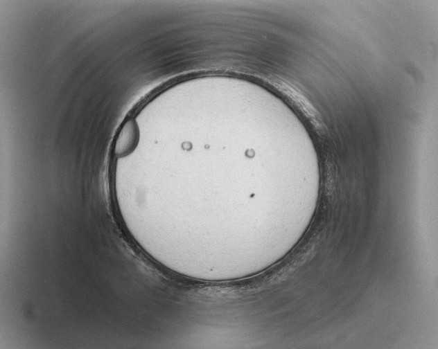 X0000116660888201001041108