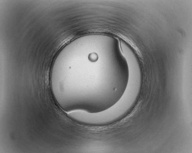 X0000116660889201001041108