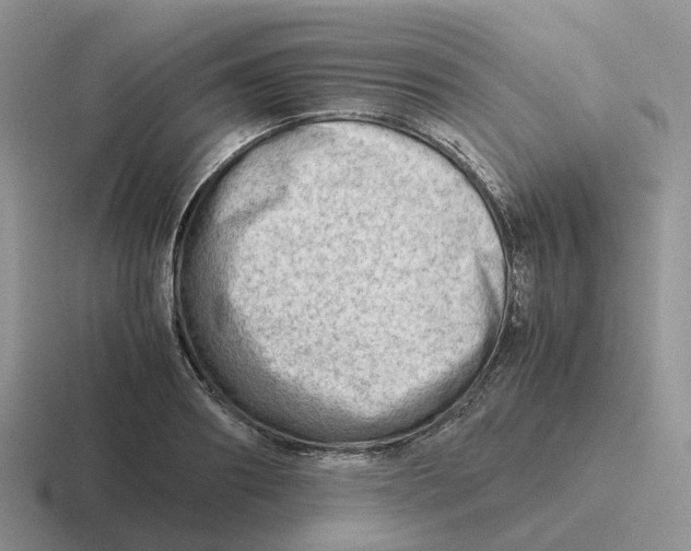 X0000116660890201001041108