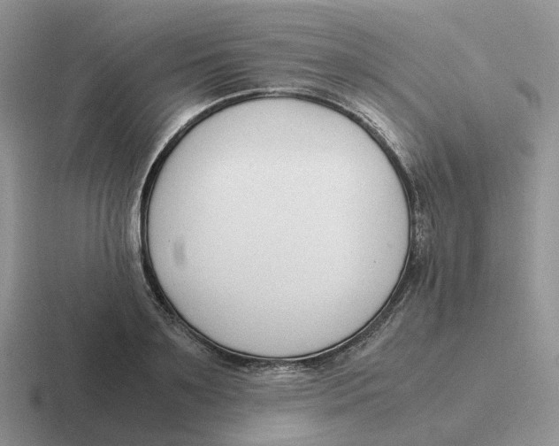 X0000116660891201001041108