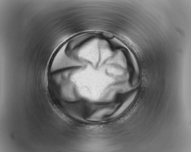 X0000116660892201001041108