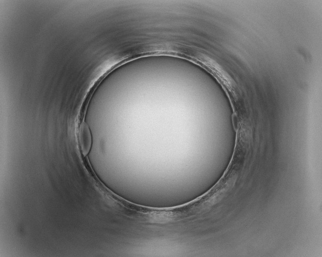 X0000116660893201001041108