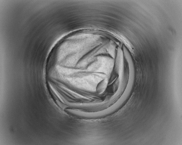 X0000116660896201001041108