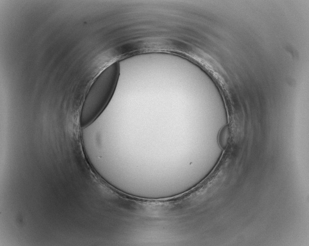 X0000116660897201001041108