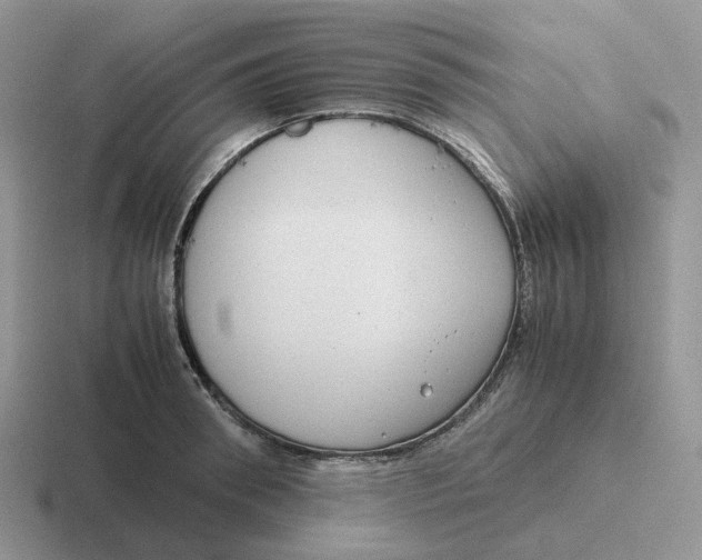 X0000116660898201001041107