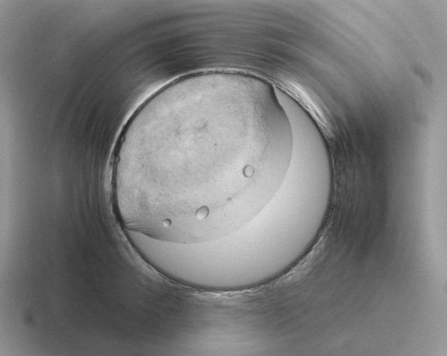 X0000116660900201001041107