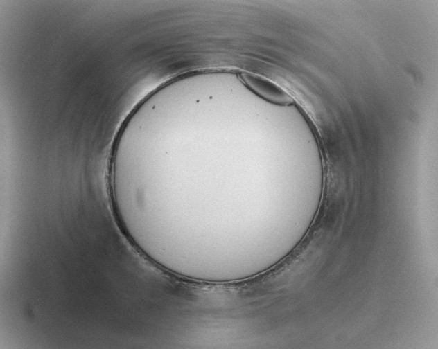 X0000116660901201001041107