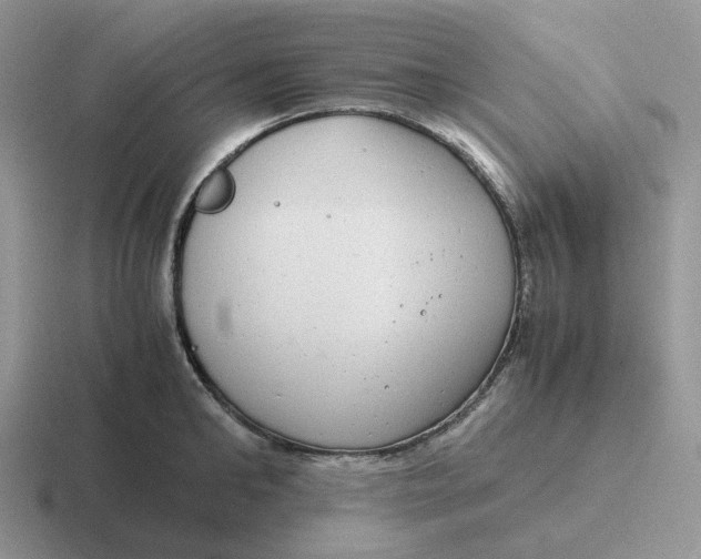 X0000116660902201001041107