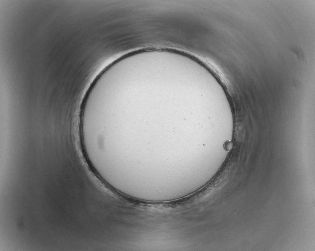 X0000116660903201001041107