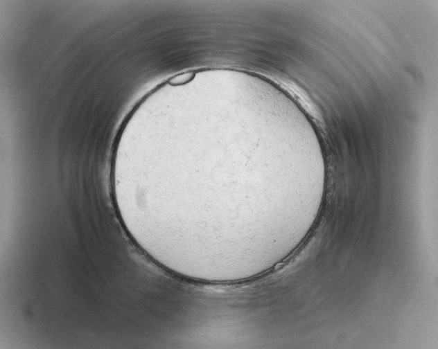 X0000116660904201001041107