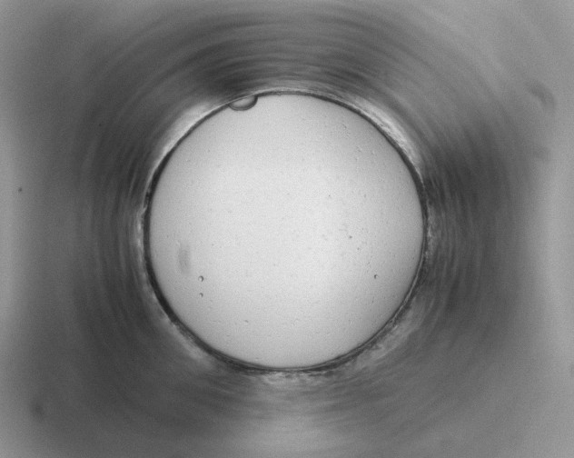 X0000116660906201001041107