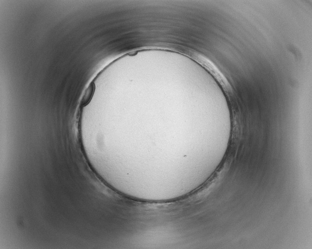 X0000116660908201001041107