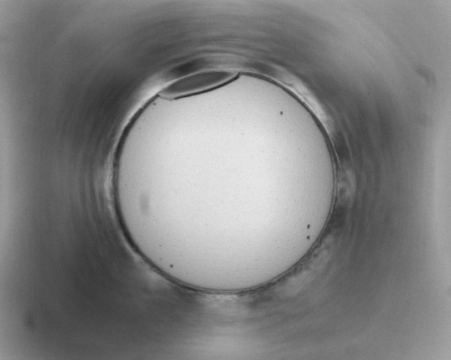 X0000116660909201001041107