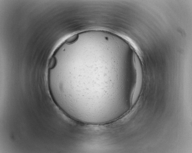 X0000116660910201001041107