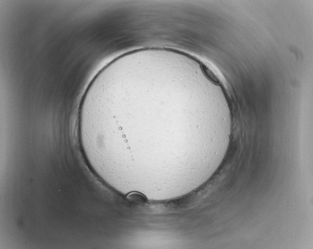 X0000116660911201001041107