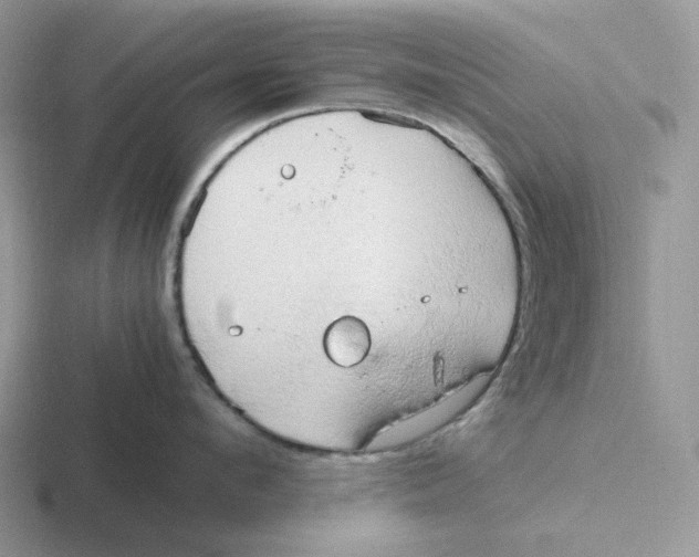 X0000116660912201001041107