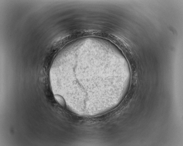 X0000116660917201001041107