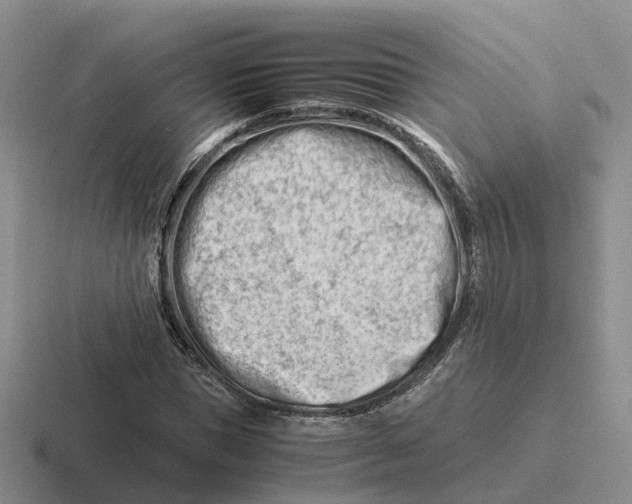 X0000116660921201001041107