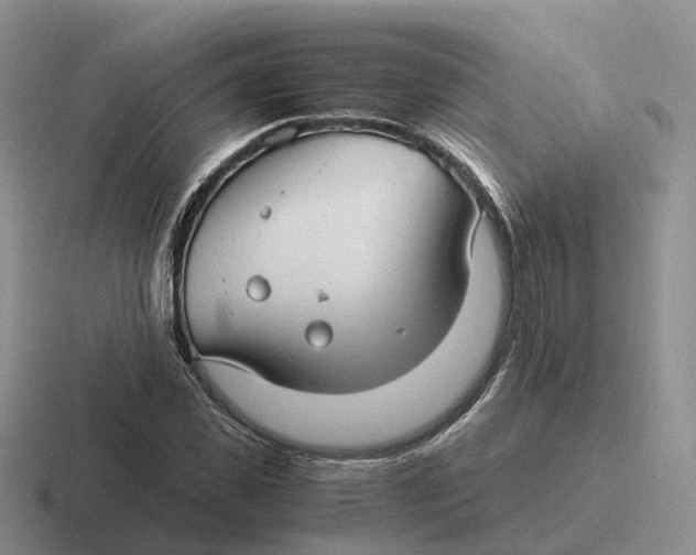 X0000116660925201001041107