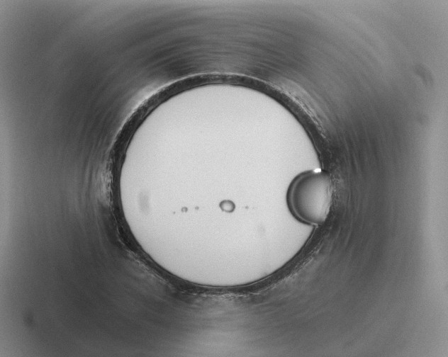 X0000116660926201001041107