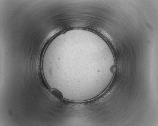 X0000116660930201001041107