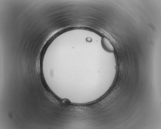 X0000116660934201001041107