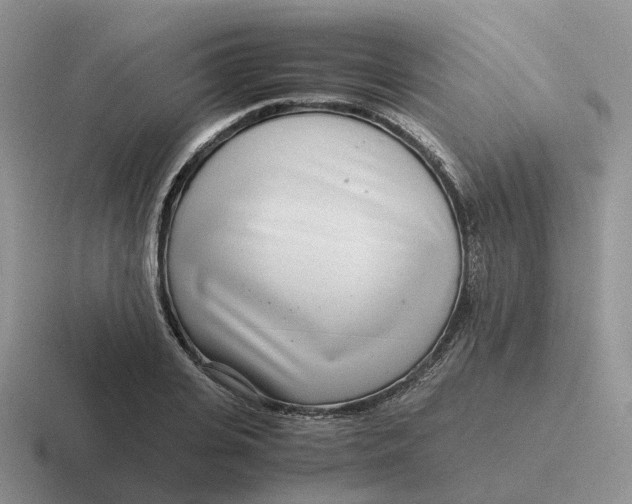 X0000116660935201001041107