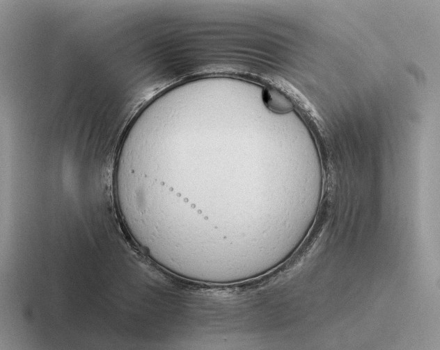 X0000116660937201001041107