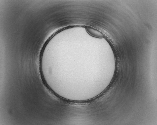 X0000116660942201001041107