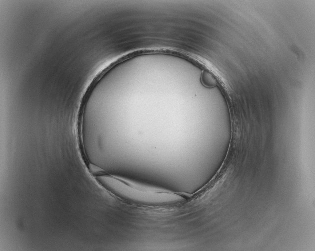 X0000116660943201001041107