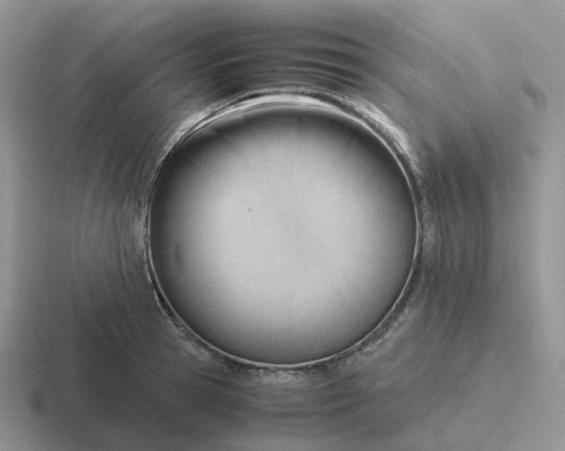 X0000116660945201001041107