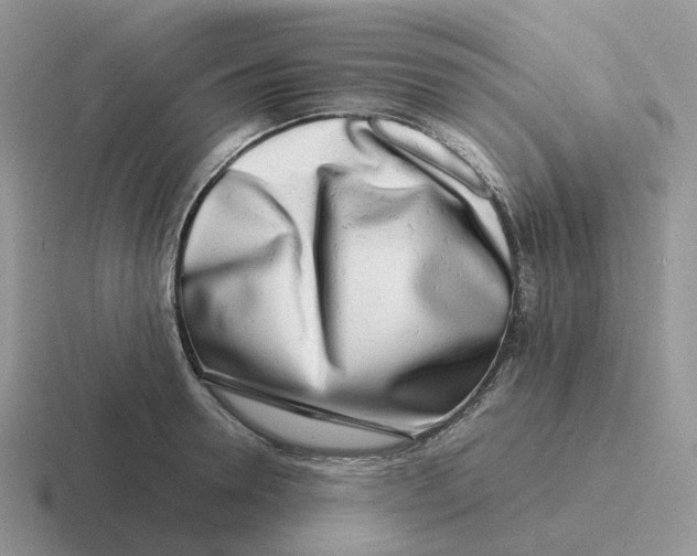 X0000116660946201001041107