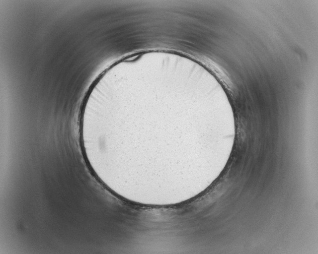 X0000116660950201001041107