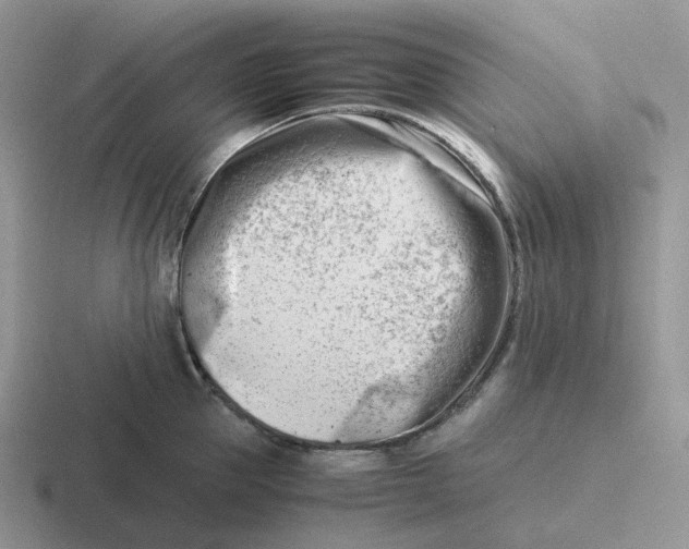 X0000116660953201001041107