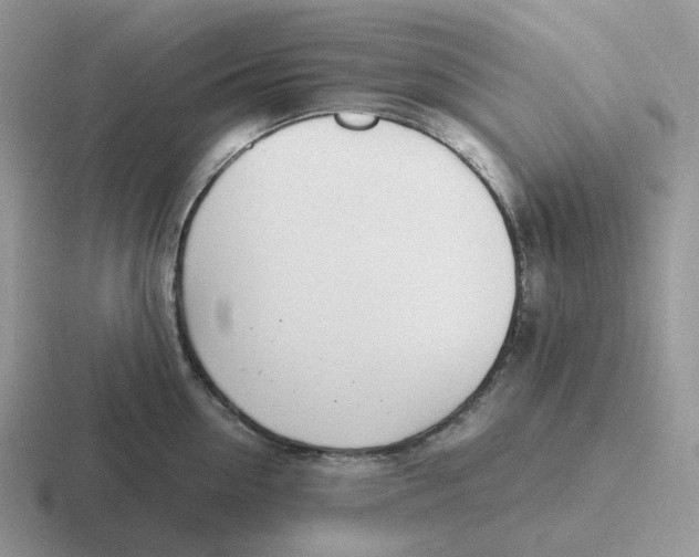 X0000116660954201001041107