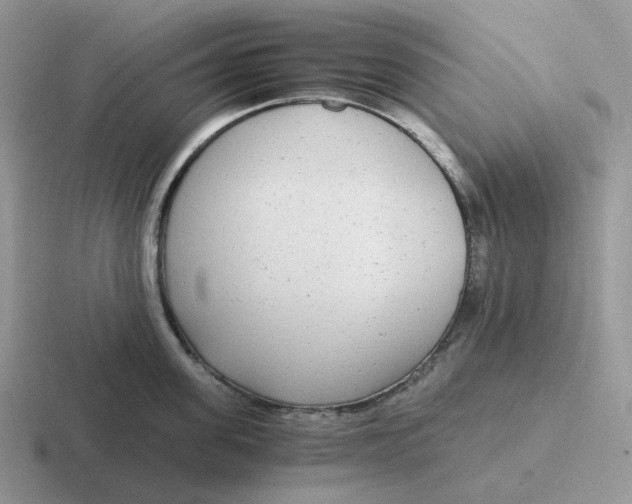 X0000116660955201001041107