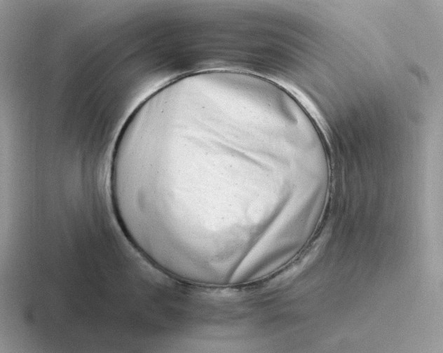 X0000116660957201001041107