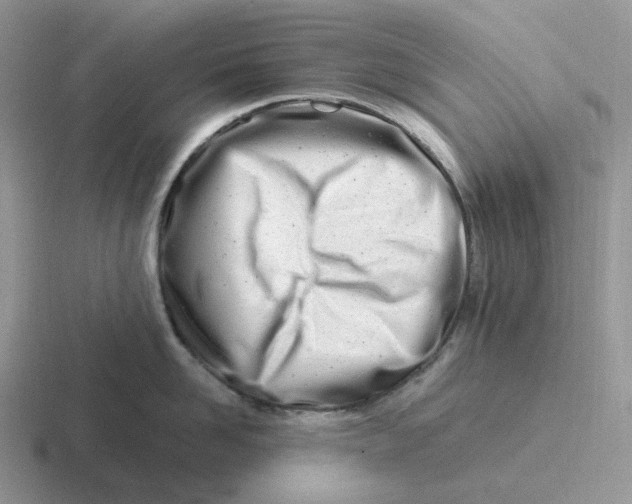 X0000116660958201001041107