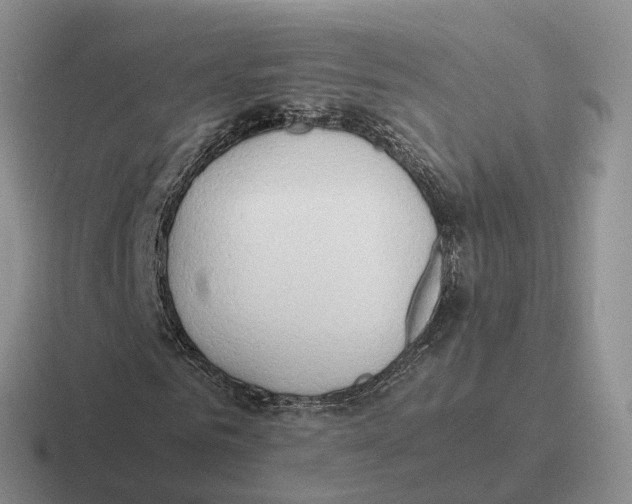 X0000116660961201001041107