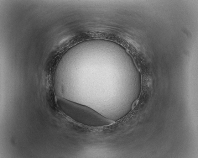 X0000116660965201001041107