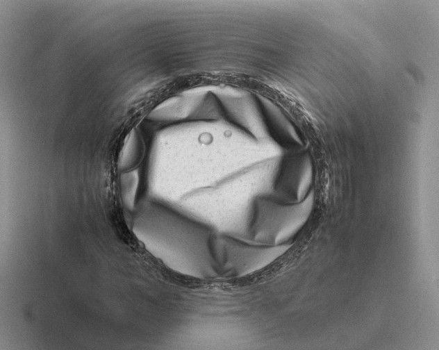 X0000116660966201001041107