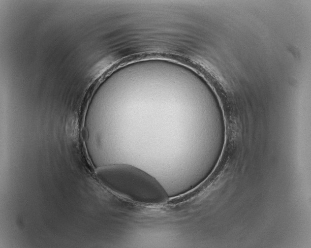 X0000116660969201001041107