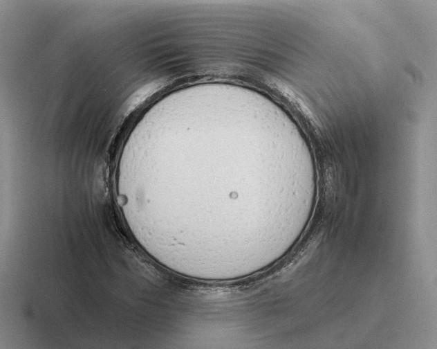 X0000116660970201001041107