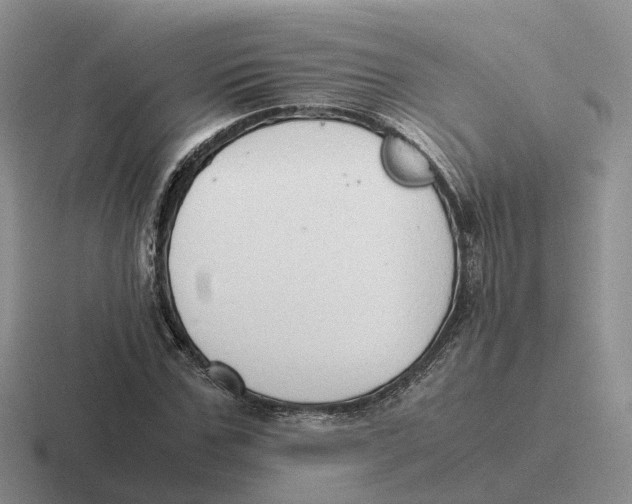 X0000116660971201001041107