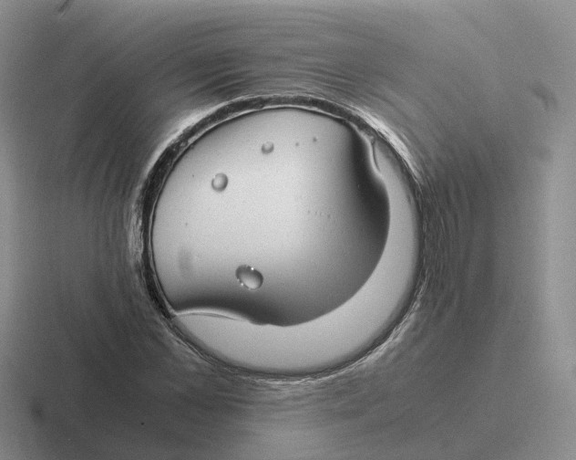 X0000116660973201001041107