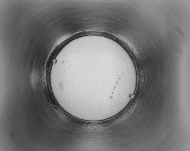 X0000116660974201001041107