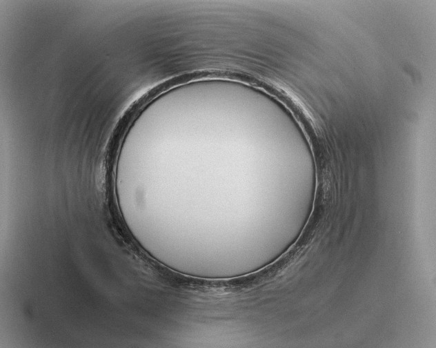 X0000116660975201001041107