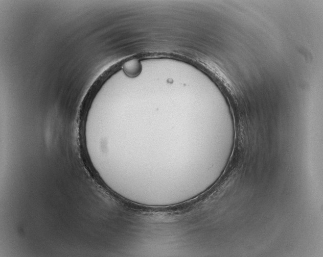 X0000116660976201001041107